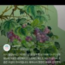 수림전통미술원 | 미술학원 민화 불화 단청 성인취미미술 자격증반 1:1, 2:1 수업 단체수업 수림 전통미술원 수업 후기 리뷰