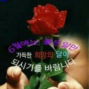 오늘도 Daum카페