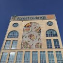 092.농협사거리_5 | ::포레스트아웃팅스:: 용인 대형 베이커리 카페 내돈내산 (카공 정보 / 주차 / 메뉴 / 가격)