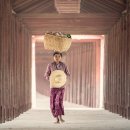 행정사이기원 이미지