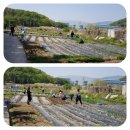 웅촌농장 이미지