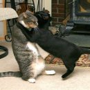 스마일짐 이미지