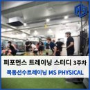 엠에스퍼포먼스