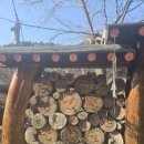 담소원펜션 이미지