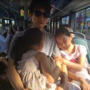 유동 광주은행 북부지점 | 푸꾸옥 노보텔에서 빈펄 사파리 빈원더스 가는법 빈버스 시간 및 이동 꿀팁