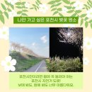 티판이 이미지