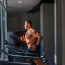 라이블리짐 이미지