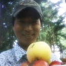 금병농장 이미지