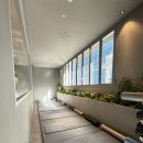 솔트스포츠 이미지