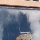 제주회수산 | 제주올레시장맛집 제주회맛집 88종합수산 방어회 포장 솔직후기