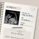 밀로아 | 밀로아 Miloa 모바일 임밍아웃 카드 고객 후기편