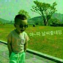 떼구루루