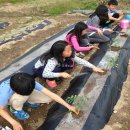 관기초등학교 이미지