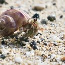 뷰티채널(BEAUTY CHANNEL) 이미지