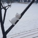 참고운피부과의원 네이버블로그