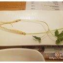 만날재삼계탕 - 창원시 마산합포구 만날고개1길 25 | 만날재삼계탕