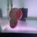 워터월드코리아 이미지