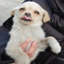 남원주농협 귀래지점 이미지