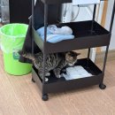 명성로158번길 이미지