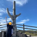 아마존공인중개사사무소 이미지