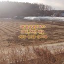 부발목장 이미지