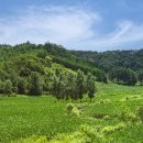 시골풍경 이미지