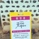 라송소 이미지