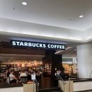 호텔7 | 하와이 가성비 호텔 추천 - 알라모아나 호텔 바이 만트라 6박 7일 후기