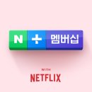 법대로 이미지