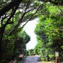 버스정류소_동부보건소 이미지