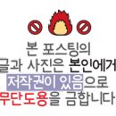 도미노피자성서점 이미지