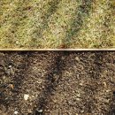 제로나인스테이 이미지