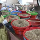 재연 농장 이미지