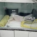 닥터펫동물의료센터 이미지