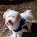 산성우1리 이미지