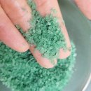 네오스파 이미지