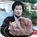 괴정3동-4 이미지