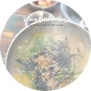 송이네 칼국수 이미지