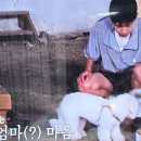 참 - 영천시 충효로 60 | 참