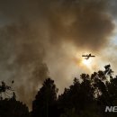 중부-현장-중부-1800 이미지