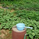 병철농장 이미지