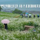 부안변산마실길 | 전북 부안가볼만한곳 변산마실길 2코스 샤스타데이지 실시간