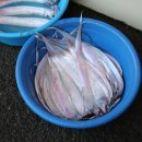 사천읍시장 이미지