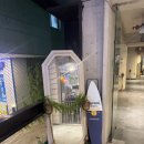 (주)코로나 | 이태원 라운지 카사코로나 야외 테라스가 있는 파티 공간 찐 단골 후기