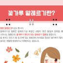 봄철 꽃가루 알레르기 (비염, 결막염, 피부염, 천식) 이미지