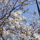 두류공원 스케이트장 이미지