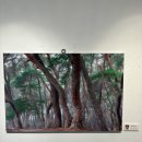 하남사진작가협회 회원전 | [블로그기자] 제44회 울산예술제 울산사진작가협회 회원전 후기