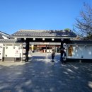 엔소프트 | 구마모토 사쿠라노바바 조사이엔｜재현거리에서 즐기는 간식 투어 후기