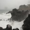 제주 부영호텔 & 리조트 이미지