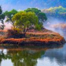 우포의 숲속 이미지